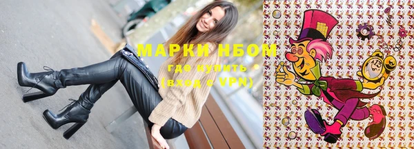мет Алексин