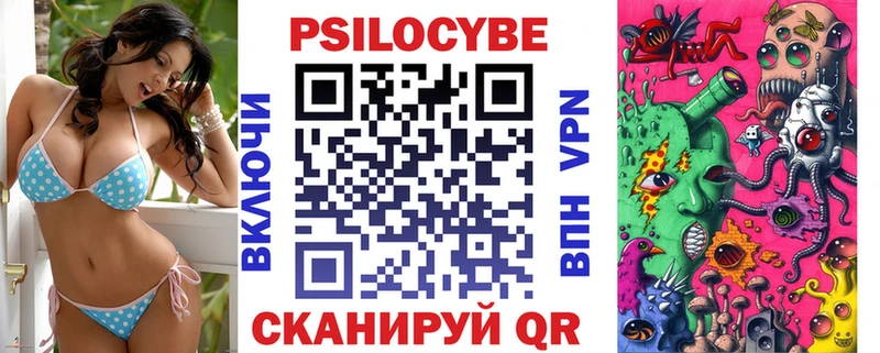 Галлюциногенные грибы Psilocybine cubensis  Камень-на-Оби 